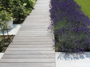 Палубная доска из лиственницы 